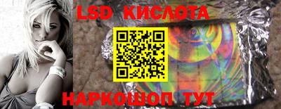 PSILOCYBIN Конаково