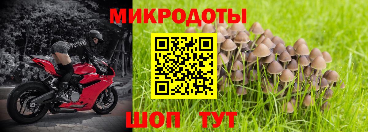 Псилоцибиновые грибы Magic Shrooms  Вход с VPN  где купить   Кирово-Чепецк 